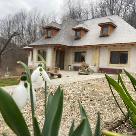 Casa Cu Sindrila Villa Vălenii de Munte Kültér fotó