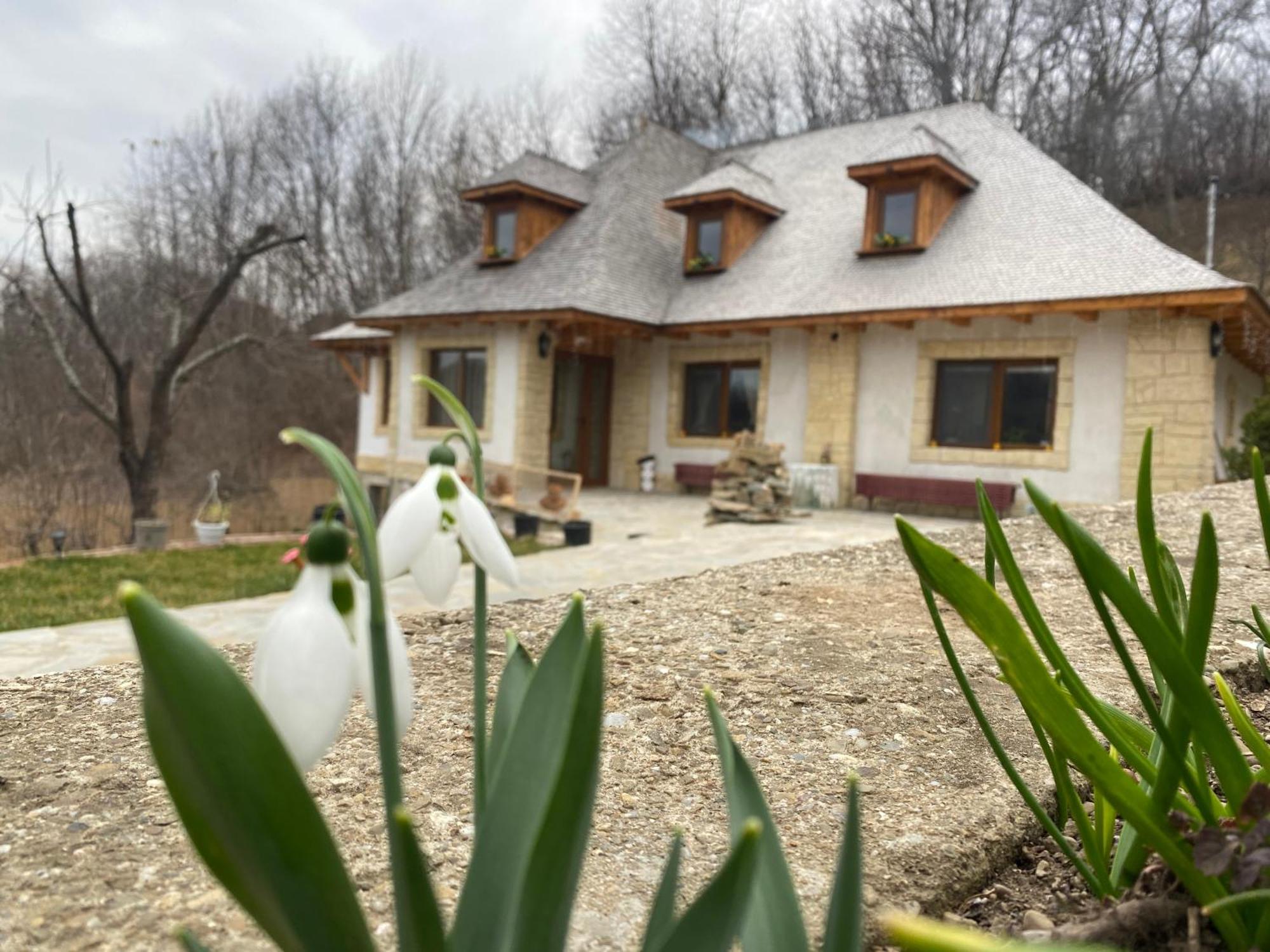 Casa Cu Sindrila Villa Vălenii de Munte Kültér fotó