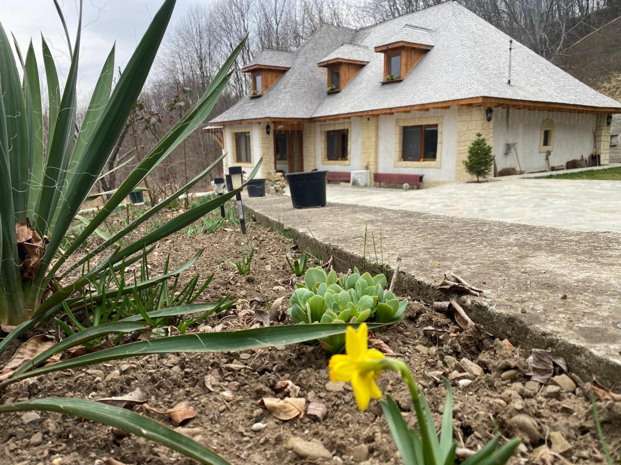 Casa Cu Sindrila Villa Vălenii de Munte Kültér fotó