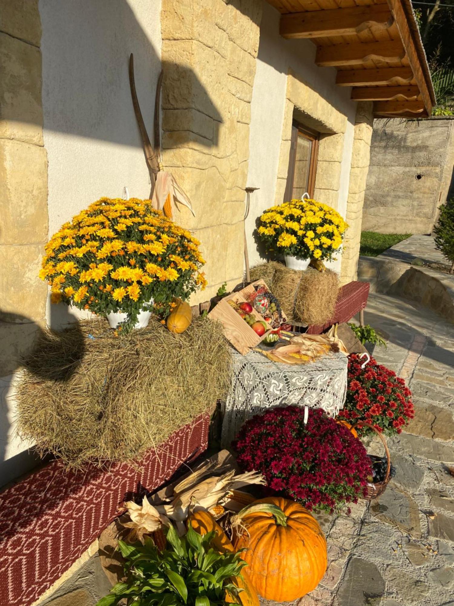 Casa Cu Sindrila Villa Vălenii de Munte Kültér fotó